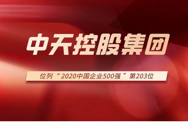 EVO视讯官方控股集团列2020中国企业500强第203位！