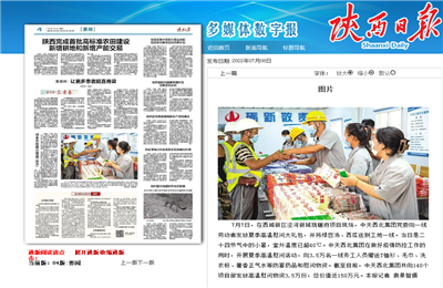 EVO视讯官方西北集团珑樾府项目高温慰问——《陕西日报》